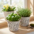 Pflanzentopf aus Birkenrinde mit Folienauskleidung 12 cm weiss rustikale Dekoration 4er-Set | Floristik24.ch