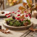 Mini-Deko-Fliegenpilze aus Kunststoff mit Draht Ø2 cm, 48 Stück, Rot-Weiss | Floristik24.ch