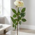 Rosenstiel künstlich, Seidenblume, Cremeweiss-Grün, 72 cm | Floristik24.ch