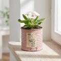 Blumentopf Metall rund Altrosa Ø 8 cm H 7,5 cm für Fensterbank & Deko | Floristik24.ch