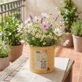 Deko-Pflanztopf aus Metall, Ø15,5cm, H15cm, Apricot mit Vintage-Motiv | Floristik24.ch