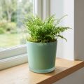 Glas Blumentopf Grün Ø11 cm H11,5 cm für Zimmer- und Balkondekoration | Floristik24.ch