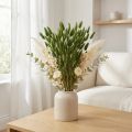 Trockenblumen Hasenschwanzgras Lagurus Grün 50–60cm 50g | Floristik24.ch