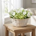 Korb aus Spanholz mit Griffen, Pflanzkorb Ø35cm Weiss Vintage | Floristik24.ch