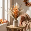 Lagurus Ovatus Getrocknet Apricot 50g 55–60cm Trockenblumen für Deko | Floristik24.ch