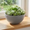 Pflanzschale Kunststoff Grau Rund Ø25cm H12cm für Innen- und Aussenbereich | Floristik24.ch