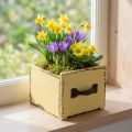 Pflanzschublade aus Holz 12,5 cm Pastellgelb mit Griff für Frühjahrsdeko | Floristik24.ch