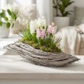 Pflanzschale Welle aus Rattan Natur Weiss 40x14x6cm | Floristik24.ch