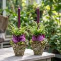 Pflanztopf-Set aus Keramik in Waldoptik, Ø12,5cm, H12cm, 2 Stück | Floristik24.ch