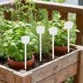 Pflanzensteckschild Kunststoff 32 cm Weiss – 10er Set | Floristik24.ch