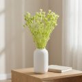Trockenblumen Nigella Grün 70cm 50g für Raumdekoration und DIY-Projekte | Floristik24.ch