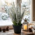 Erika Kunstpflanze Weiss Besenheide im Topf H26 cm | Floristik24.ch