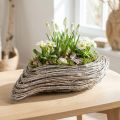 Pflanzschiffchen Pflanzwelle Rattan Natur Weiß 45x16cm | Floristik24.ch