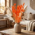 Hasenschwanzgras Orange Trockenblumen 50-60cm 50g – Deko-Lagurus für Tischdeko und Bastelarbeiten | Floristik24.ch