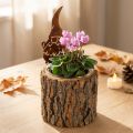 Blumentopf Holz mit Baumrinde und Edelrost-Wichtel, Ø12,5cm, H24cm | Floristik24.ch