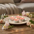 Teelichter Duftkerzen Erdbeere Rot Ø3,5cm H1,5cm 18er Set | Floristik24.ch