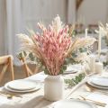 Hasenschwanzgras getrocknet hellrosa 60cm 50g Lagurus Trockenblumen für Dekoration und Hochzeit | Floristik24.ch