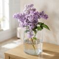 Glasvase zylindrisch Ø12cm H20cm klar | Floristik24.ch