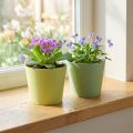 Papiergefäss Mini-Pflanztopf mit Folienauskleidung Ø9cm H7,5cm Blau/Grün 4er-Set | Floristik24.ch