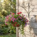 Wandhaken aus Metall, Pflanzenhalterung 30 × 28,5 cm, Braun-Grau, für Innen und Aussen | Floristik24.ch