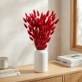 Lagurus Trockenblumen Hasenschwanzgras Rot 60–65cm 50g Dekoration | Floristik24.ch