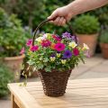 Pflanzkorb mit Henkel aus Weide Ø24×H18cm Braun mit Folie für Innenbereich | Floristik24.ch