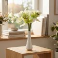 Künstliche Orchideen in Vase Weiss-Grün 28cm | Floristik24.ch