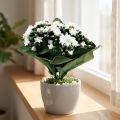 Künstliche Kalanchoe Weiss 24cm aus Kunststoff und Metall | Floristik24.ch