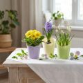 Pflanztopf aus gewebtem Papier Ø7cm H13cm in Grün, Gelb und Lila – Set mit 12 Stück | Floristik24.ch