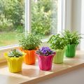 Übertöpfe aus Kunststoff Ø10,5 cm in fünf Farben, 10er Set | Floristik24.ch