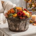 Blumentopf Rund Ø33cm H16cm aus Birkenrinde und Reben mit Kunststofffolie für Innen- und Aussenbereich | Floristik24.ch