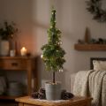 Künstliche Zipfeltanne im Topf aus Kunststoff Grün Ø12cm H70cm für Weihnachtsdekoration | Floristik24.ch