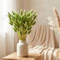 Hasenschwanzgras Ziergras Lagurus Olivgrün L65cm 50g | Floristik24.ch