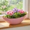 Pflanzschiffchen aus Kunststoff, Blumenschale Pink, 28×9×9 cm, 3 Stück | Floristik24.ch