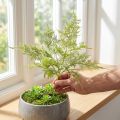 Künstliche Farnpflanze mit Beflockung in Grün 45 cm | Floristik24.ch