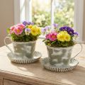 Deko Tasse Metall Weiß gewaschen Antik Ø9cm H8cm 2St | Floristik24.ch