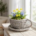 Teetasse aus geflochtener Weide mit Untertasse 13cm für Indoor Dekoration Weiss-Grau | Floristik24.ch