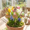 Osterhasen-Holzstecker 8,5 cm, Natur und Farbenmix, Set mit 12 Stück | Floristik24.ch
