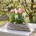 Pflanzherz Pflanzschale Rattan Herz Weiß Natur 28x34cm | Floristik24.ch