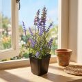 Künstlicher Lavendel im Topf 25 cm lila-grün | Floristik24.ch