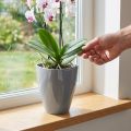 Orchideentopf Kunststoff glänzend Grau Ø12,5 cm | Floristik24.ch