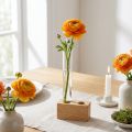 Reagenzglas aus Glas 200mm × 22mm, farblos | Floristik24.ch
