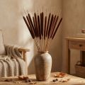 Schilfkolben Braun 75 cm 100 Stück Naturprodukt | Floristik24.ch