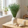 Getrockneter Flachs Grün 50–55 cm Trockengras für Dekoration und DIY | Floristik24.ch