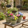Blumenkörbe Henkel Metall Ø23/20/17 cm Natur/Grün/Grau 3er-Set mit Schild | Floristik24.ch