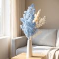 Hellblauer Federspargel Asparagus Trockenblume 55-70cm für Innenbereiche | Floristik24.ch