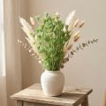 Trockenblumen Nigella Grün 50cm 100g für Floristik und Dekoration | Floristik24.ch