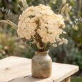 Schafgarbe künstlich Creme Achillea 30cm 6er Bund | Floristik24.ch