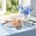 Muschelmix Natur 3 Netze à 350g - Dekoration aus echten Muschel- und Schneckenschalen | Floristik24.ch