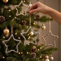 Weihnachtssterne aus Ulmenzweigen Weiss gewaschen 20 cm 4 Stück | Floristik24.ch